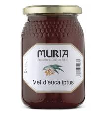 Miel de eucalipto 500gr