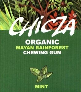 Chicle hierbabuena orgánico 30gr