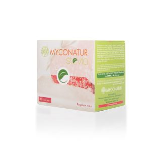 Granulado de stevia 80 sobres
